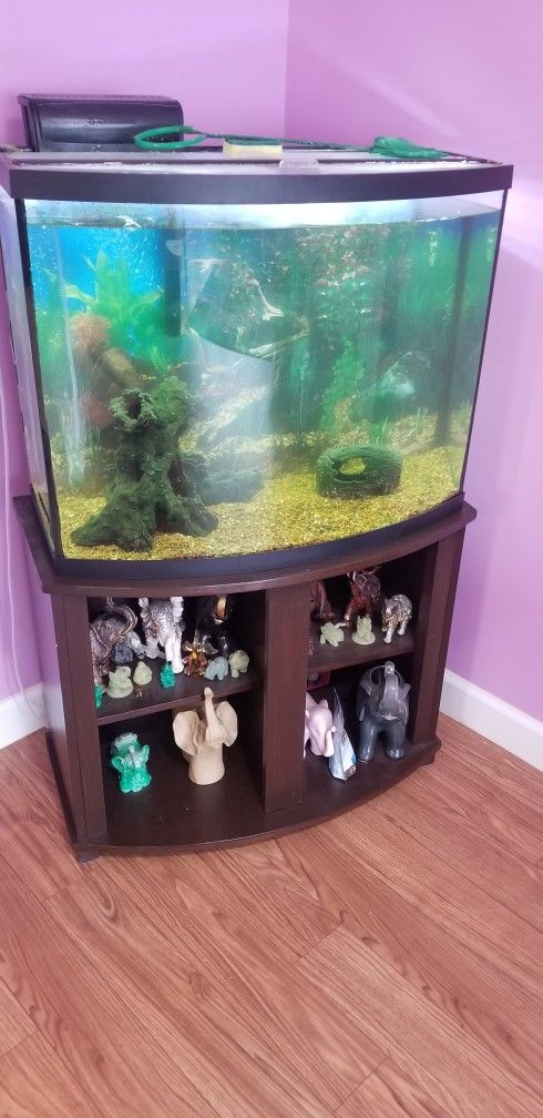 Fish Tank Aquarium 