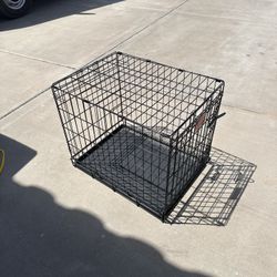 dog kennel 