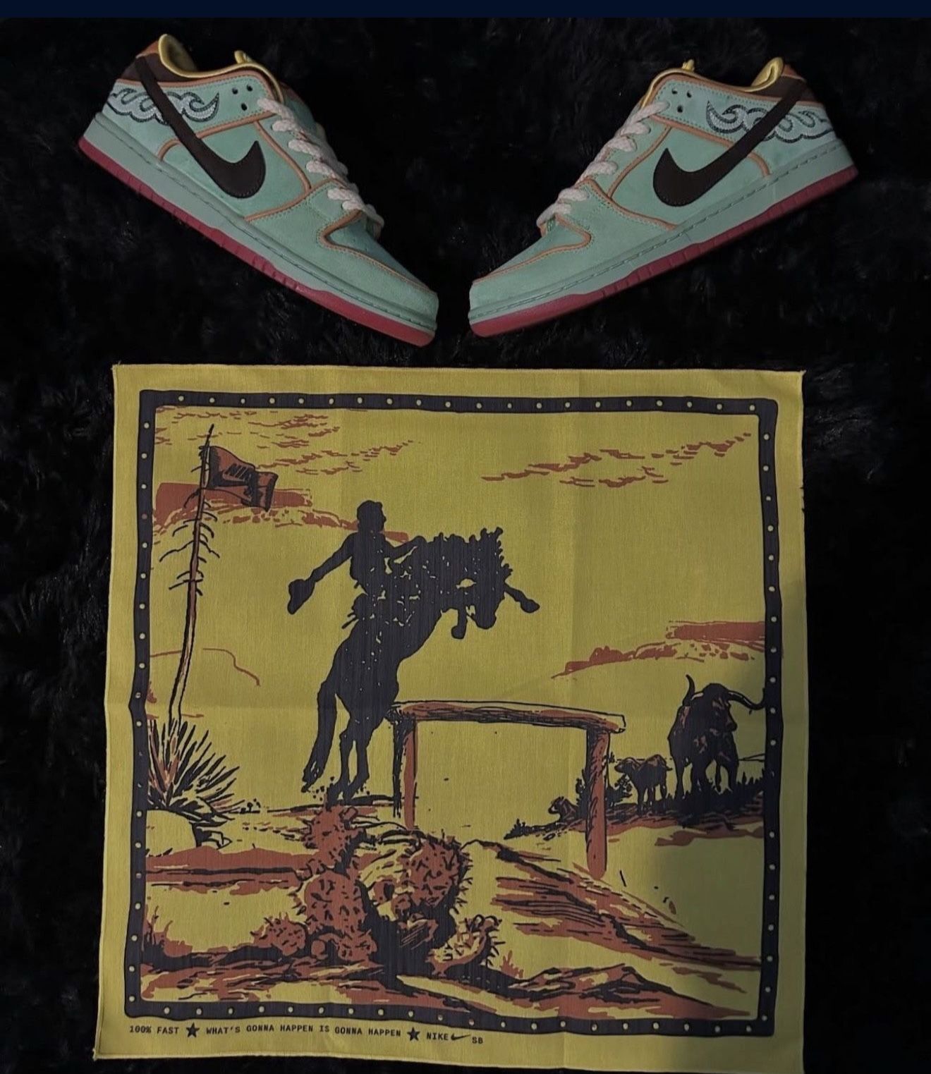 Nike Sb x Rodeo