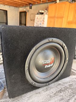 10” Subwoofer