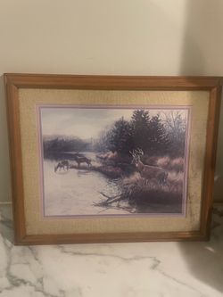 Exclusive Beautiful Deer, Lookout At Watering Hole framed  painting