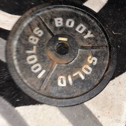 100 Pound Plate 