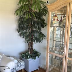 Silk plants Cash only