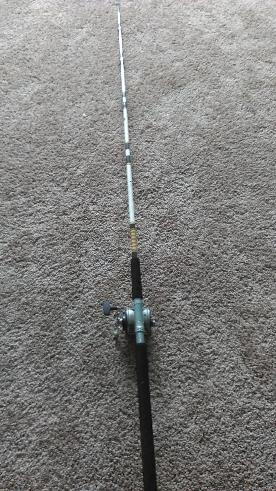 Fishing rod