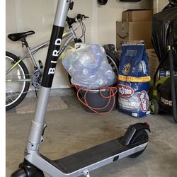 Bird Electric Scooter