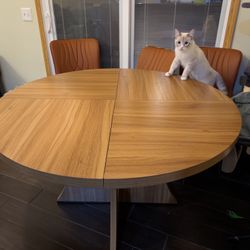 dining table Can Sit 7 People 