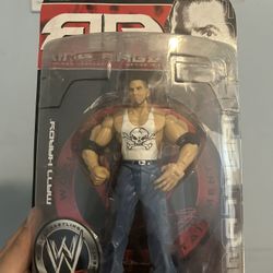 WWE Matt Hardy Toy Action Figure