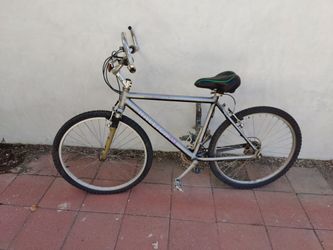 24" Raleigh Mountain Bike