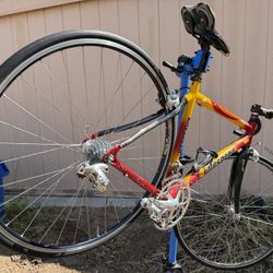 Litespeed Road Bike / Bicycle 