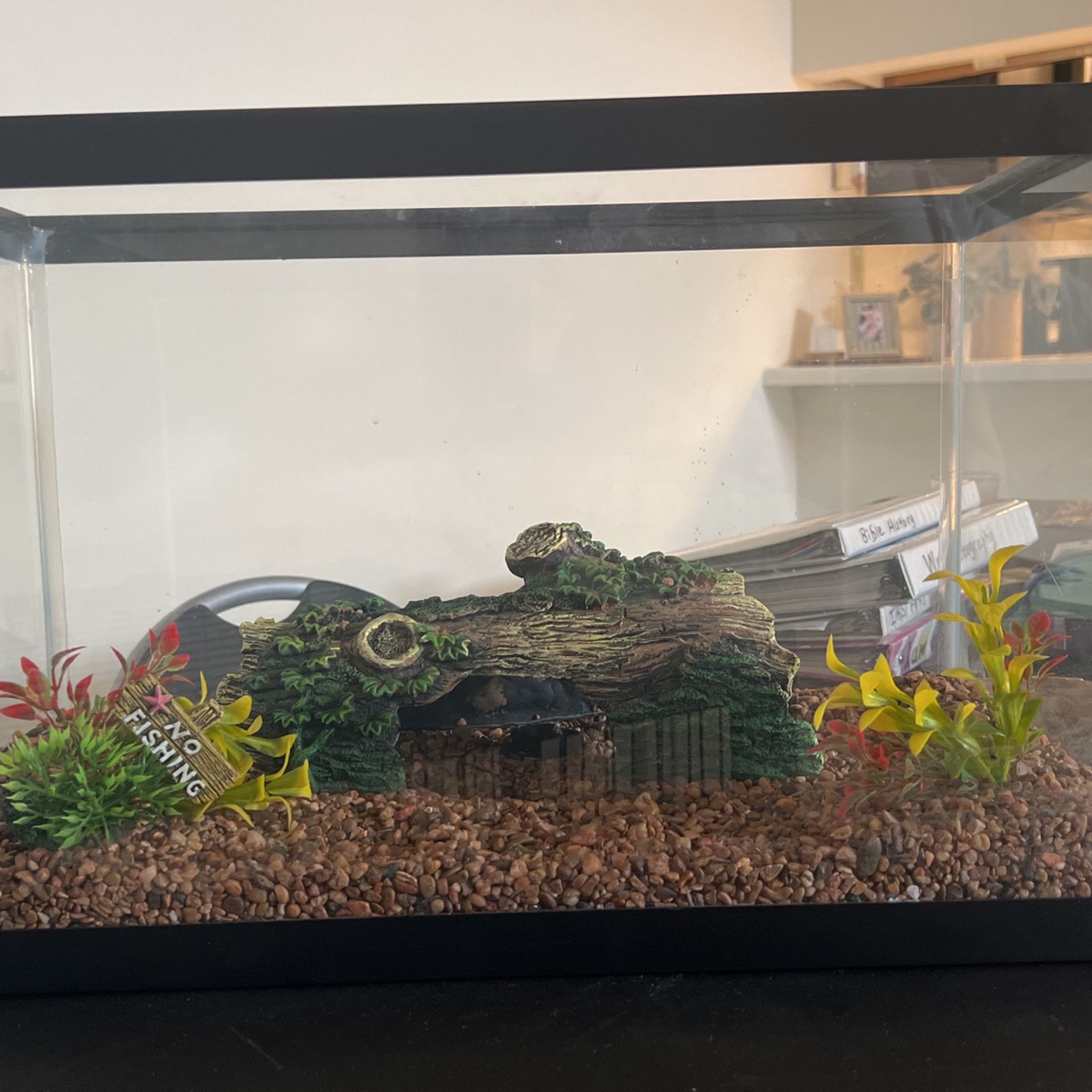 Fish Tank