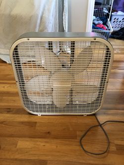 Fan