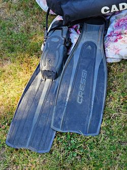 Flippers