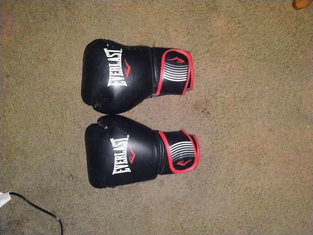 Everlast Boxing Gloves 