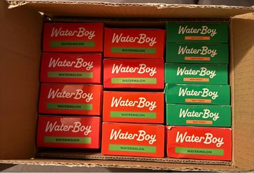 14 WaterBoy Electrolyte Packets Bulk Box