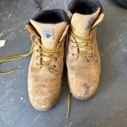 Steel Toe Size 12