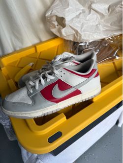 Nike dunks 10.5 wore once