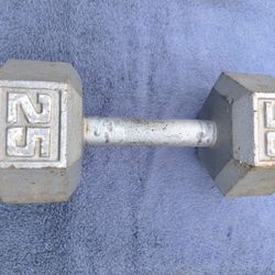 (YES STILL AVAILABLE) One 25 lb Dumbbell 