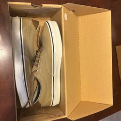 Vans Skate Shoes
