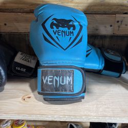 Venum 12 Oz Boxing Gloves