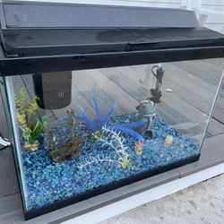 Fish Tank