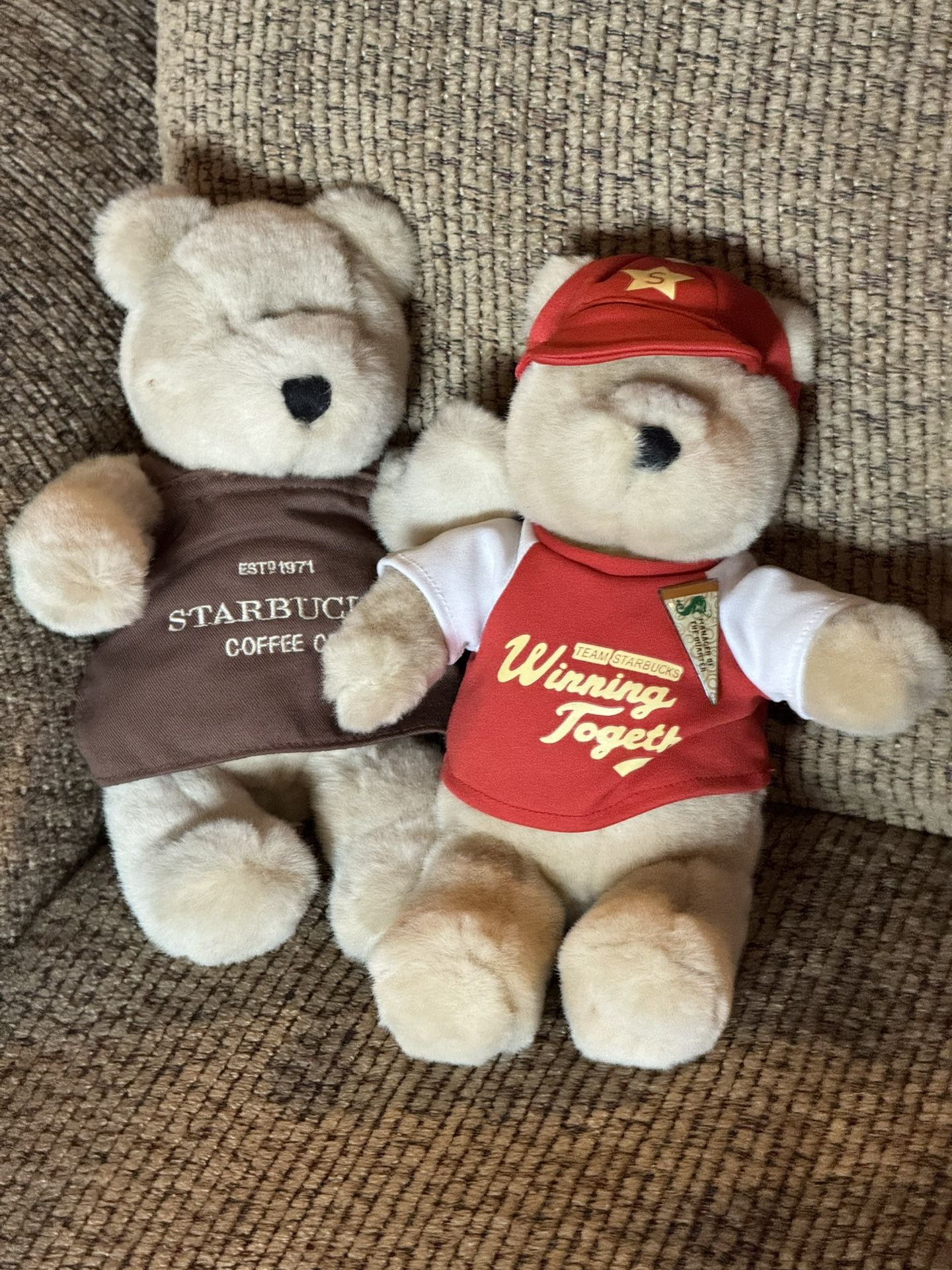 Starbucks Branded Teddy Bears