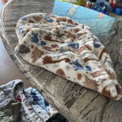 A Dinosaur Wrap For Babies