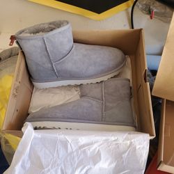 New Grey Uggs 