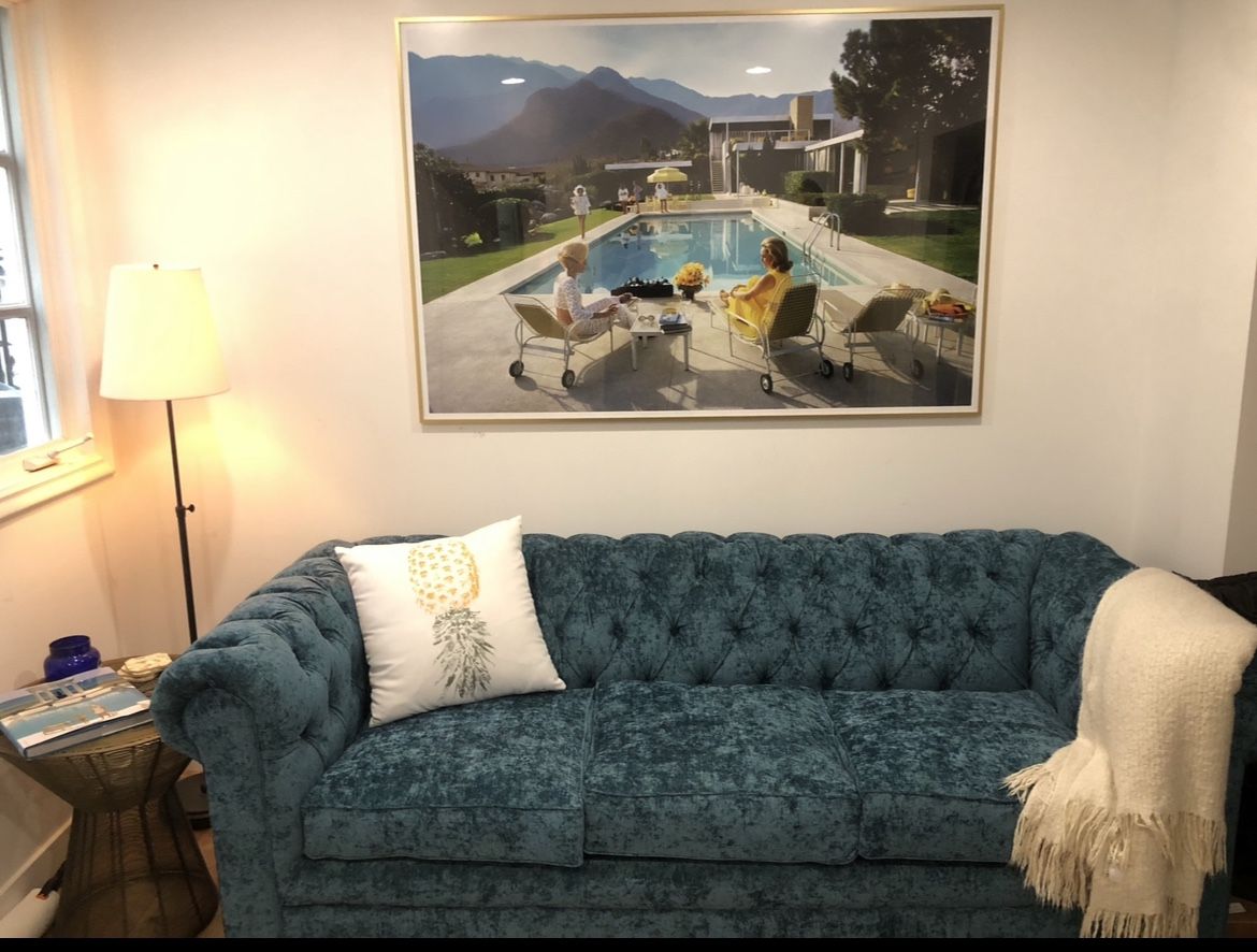 Joy bird Liam Sleeper Sofa Like New