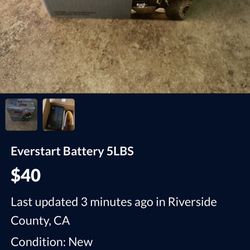 Everstart Battery 5lbs 