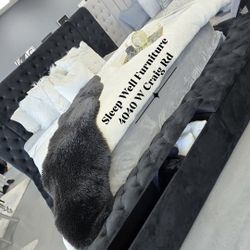 ✨️ King, Cal King, Queen Bed Frame ✨️ Furniture Sectionals, Bedrooms, Dining Avail 