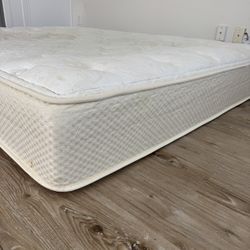 Free Mattress And Furniture