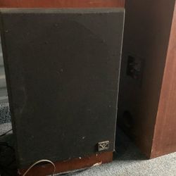 Free Speakers. They work!