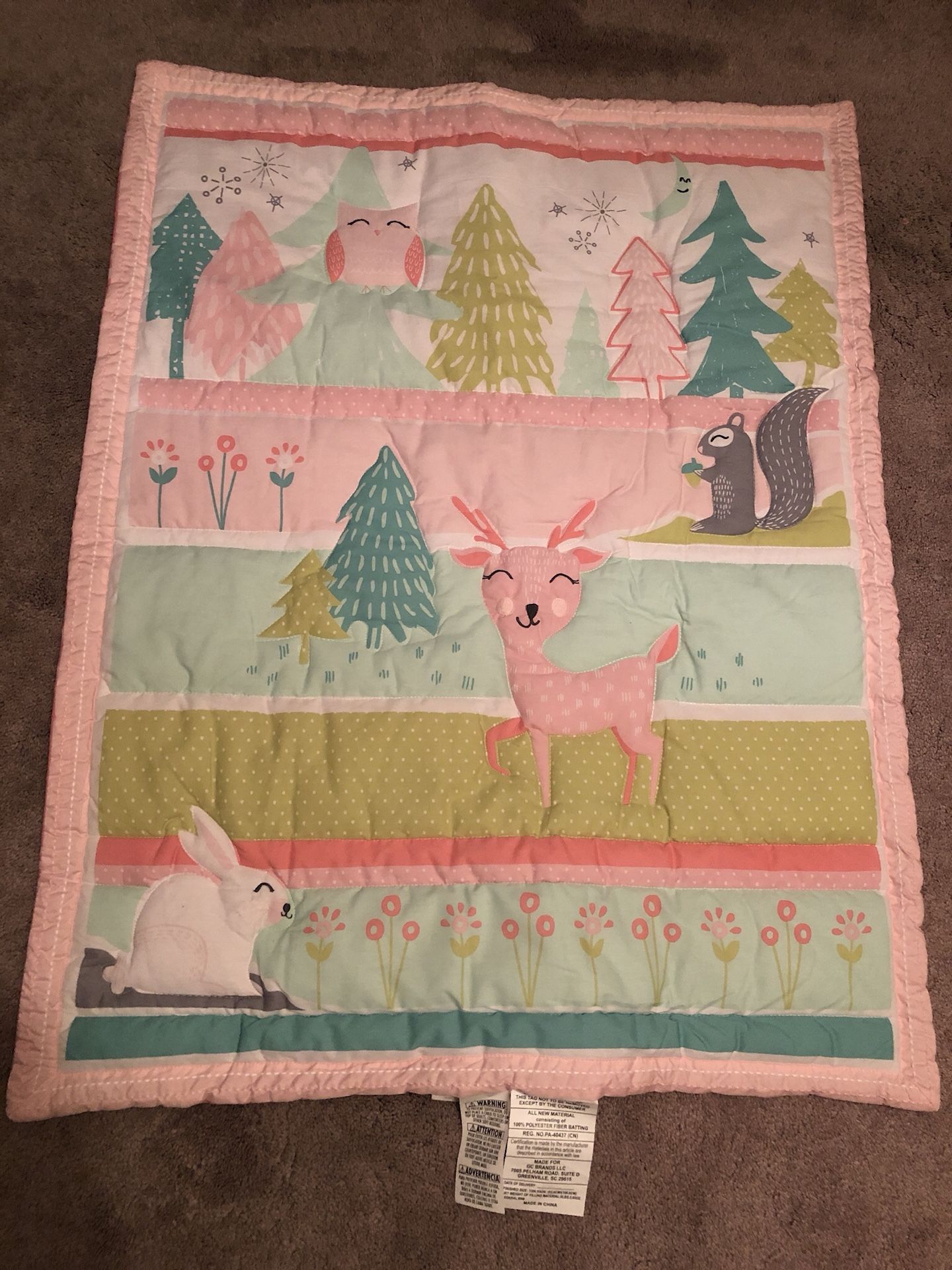 Crib blanket and canvas pictures