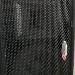 Passive Speakers (2)