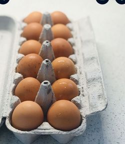 Chicken Eggs Free Range