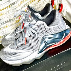 Nike Lebron 12 Low Wolf Grey Size 9