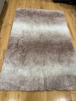 4x6 Plush Shaggy Area Rug - Brown/ White Gradient