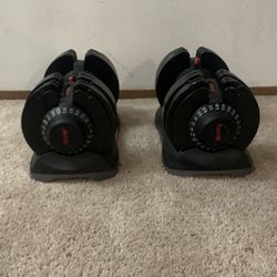 Merax Adjustable Dumbbells (10 to 72 Pounds each Dumbbell)