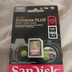 256 Gb SD Card 