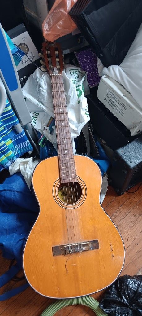 Crown Professional Vintage Guitar