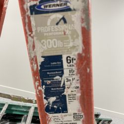 Werner Ladder 