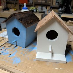 Bird houses and feeders