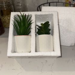 Fake Faux Plants Succulent Ceramic Mini Pots 