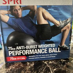 SPRI Weighted Stability Exercise Ball