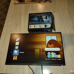 ViewSonic Monitor with New Swivel/Tilt TV Wall Mount