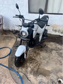 Tiger Menace 200cc automatic bike