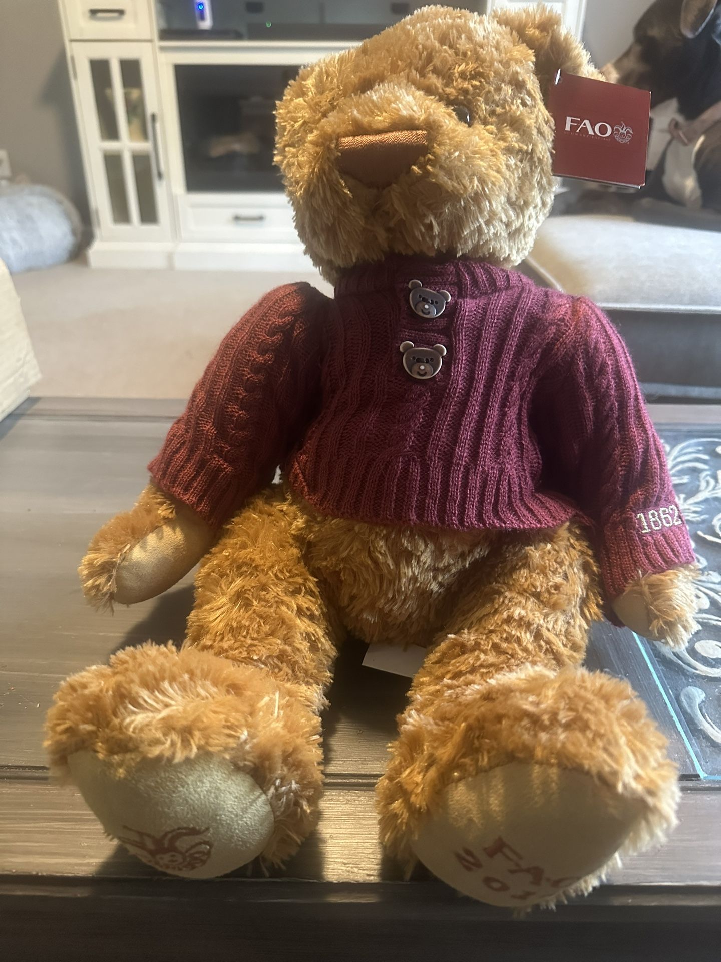 Bear