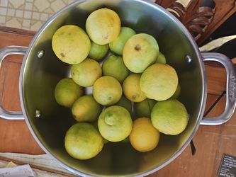 Seedless Lemon/Limon Sin Semilla. 6×$1