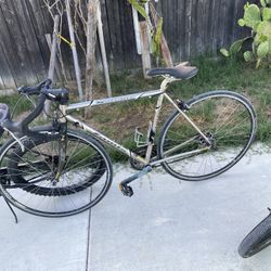 Fixie Mountain Bike
