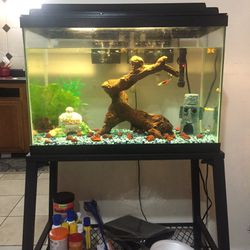 30 Gallons Fish Tank + Stand